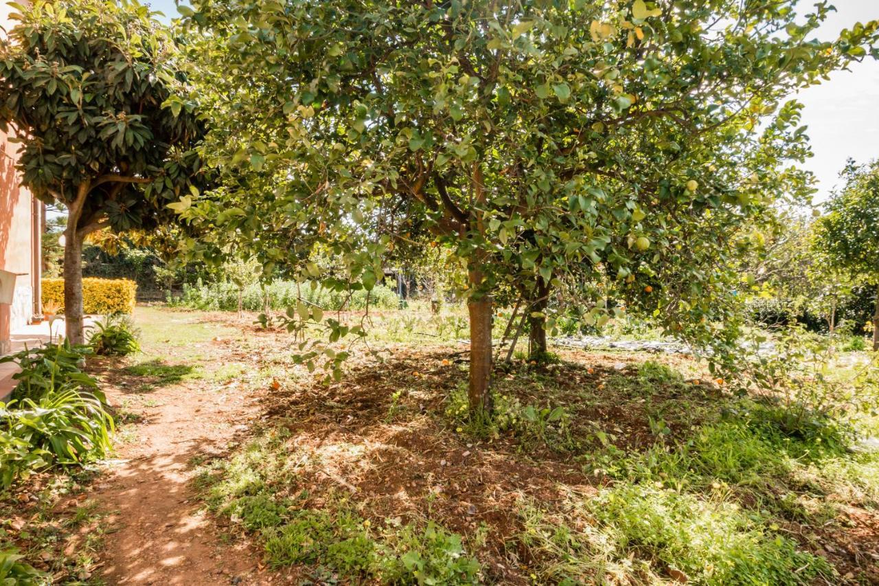 נוטו Villa Rosa Near The Sandy Beach, Parking & Wifi מראה חיצוני תמונה